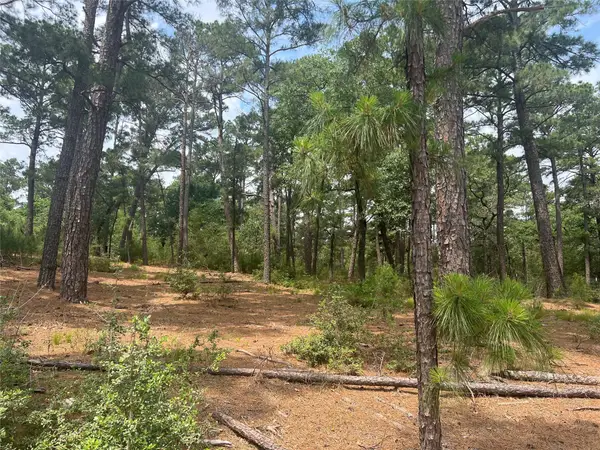 Lot 90 N. Hill Ridge Dr, Bastrop, TX 78602