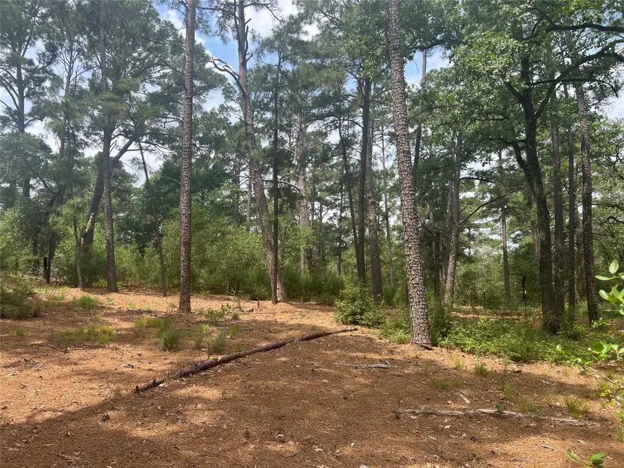 Lot 90 N. Hill Ridge Dr, Bastrop, TX 78602 - Image #2