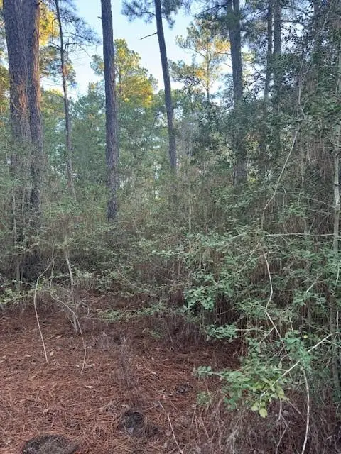 103 Lake Point Way, Bastrop, TX 78602 - Image #3