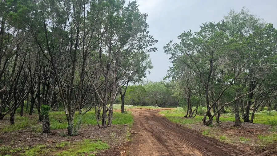 00 County Road 119, Burnet, TX 78611 - Image #2