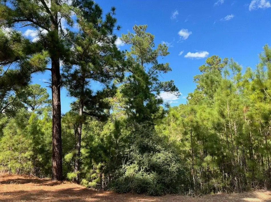 Lot 986 Kailua L Ln, Bastrop, TX 78602 - #1