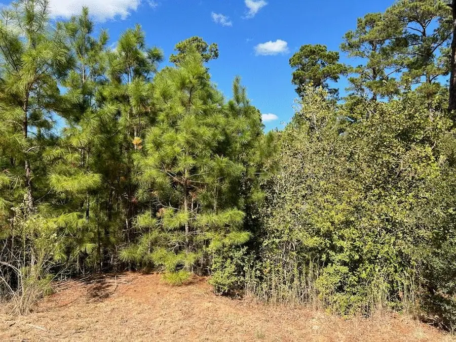 Lot 986 Kailua L Ln, Bastrop, TX 78602 - #3