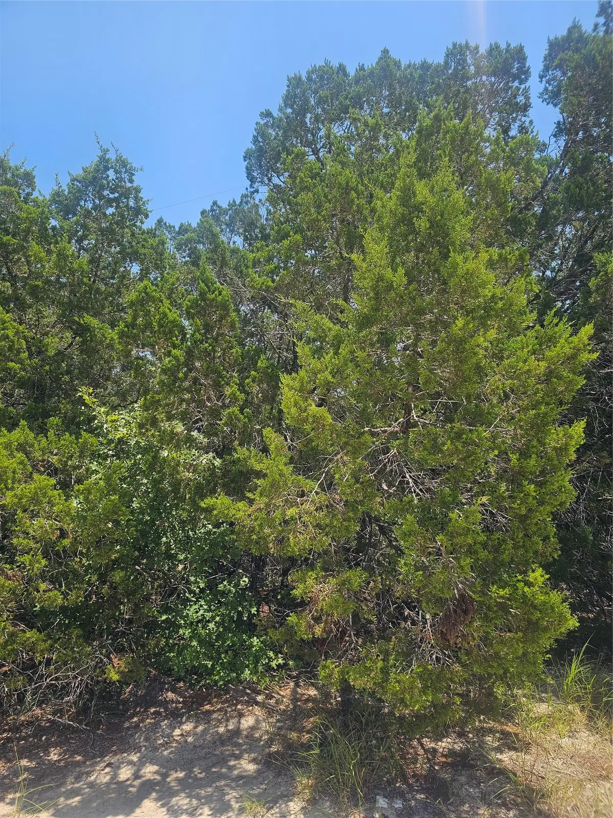 20400 Archer Cv, Lago Vista, TX 78645 - Image #1