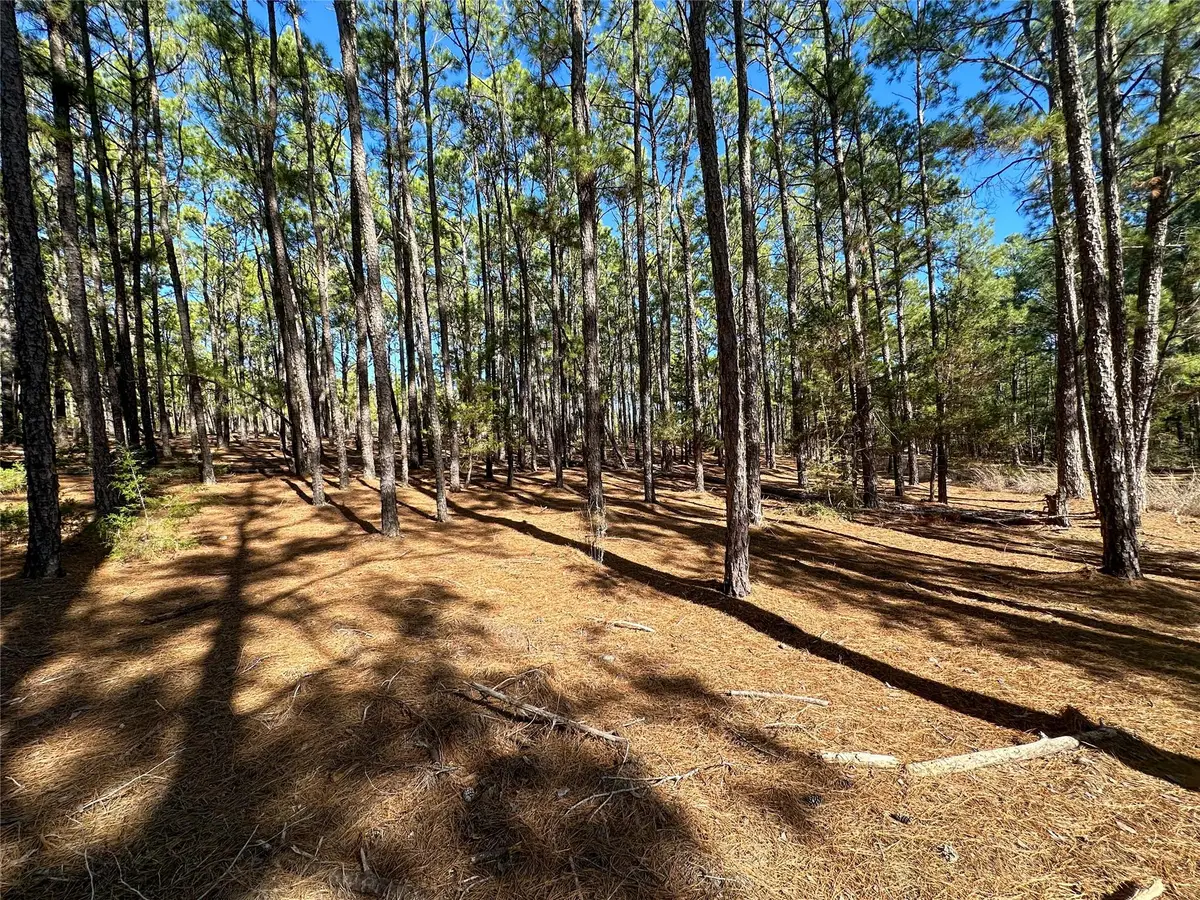 Lot 12 Hickory Ridge Dr, Bastrop, TX 78602 - Image #1