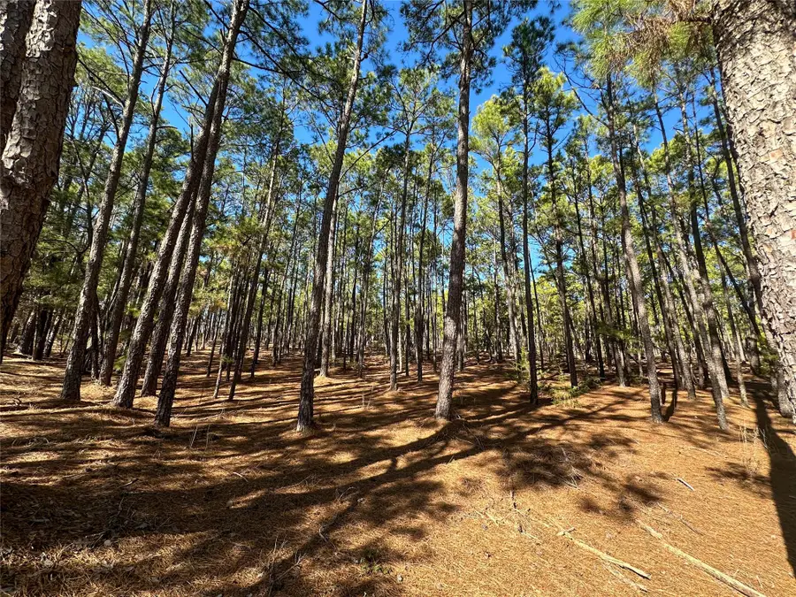 Lot 12 Hickory Ridge Dr, Bastrop, TX 78602 - Image #2