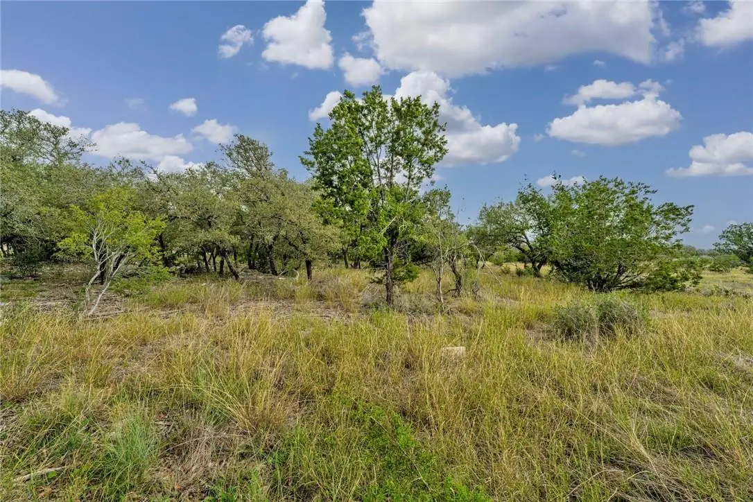 104 Rocky Summit Ct, Spicewood, TX 78669 - #1