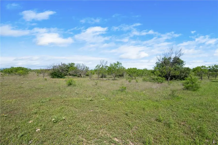 TBD County Road 276, Liberty Hill, TX 78605 - Image #3