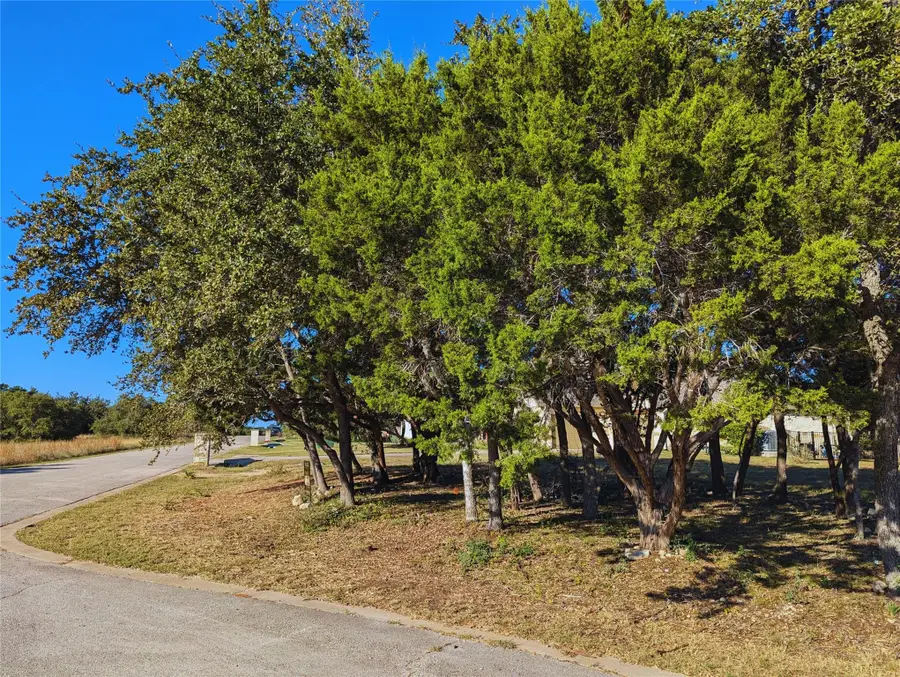 541 Onion Creek Ln, Driftwood, TX 78619 - Image #2