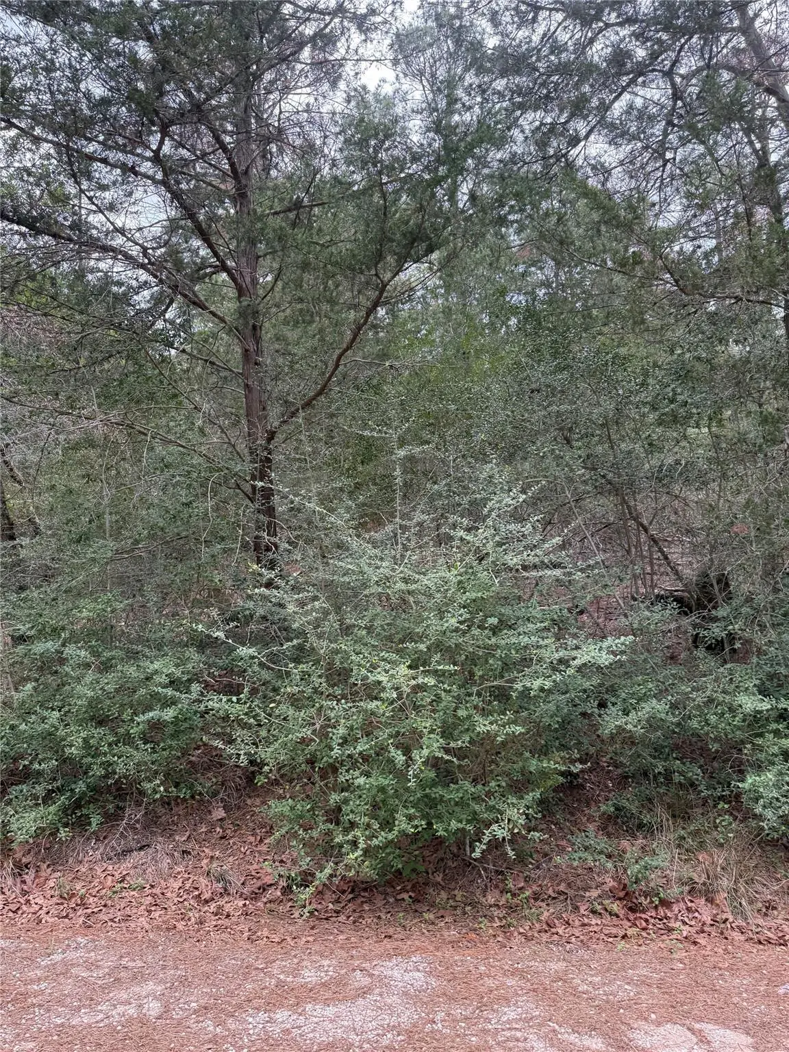 Lot 1428 Keeau Ct, Bastrop, TX 78602 - #1