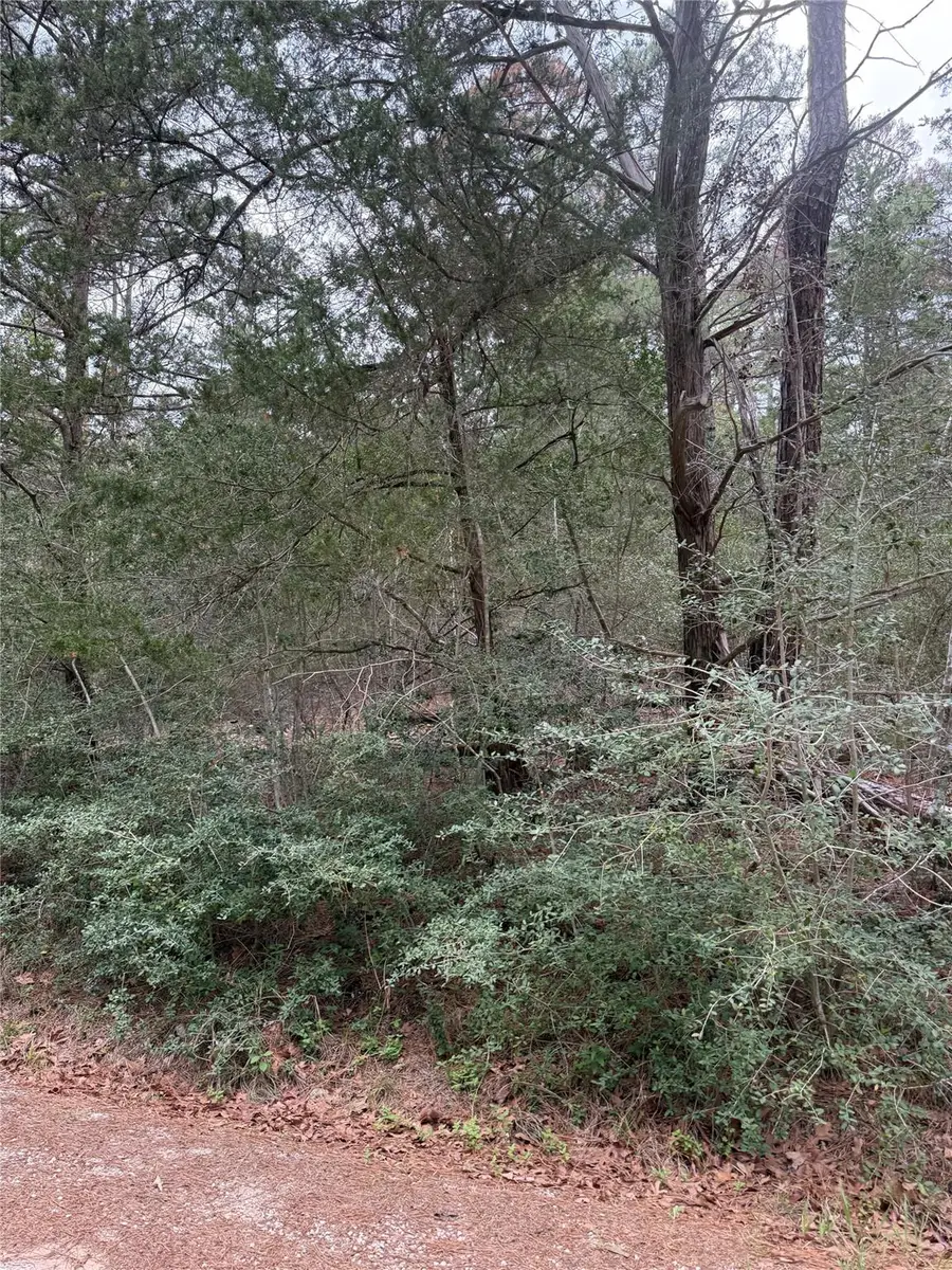 Lot 1428 Keeau Ct, Bastrop, TX 78602 - #2