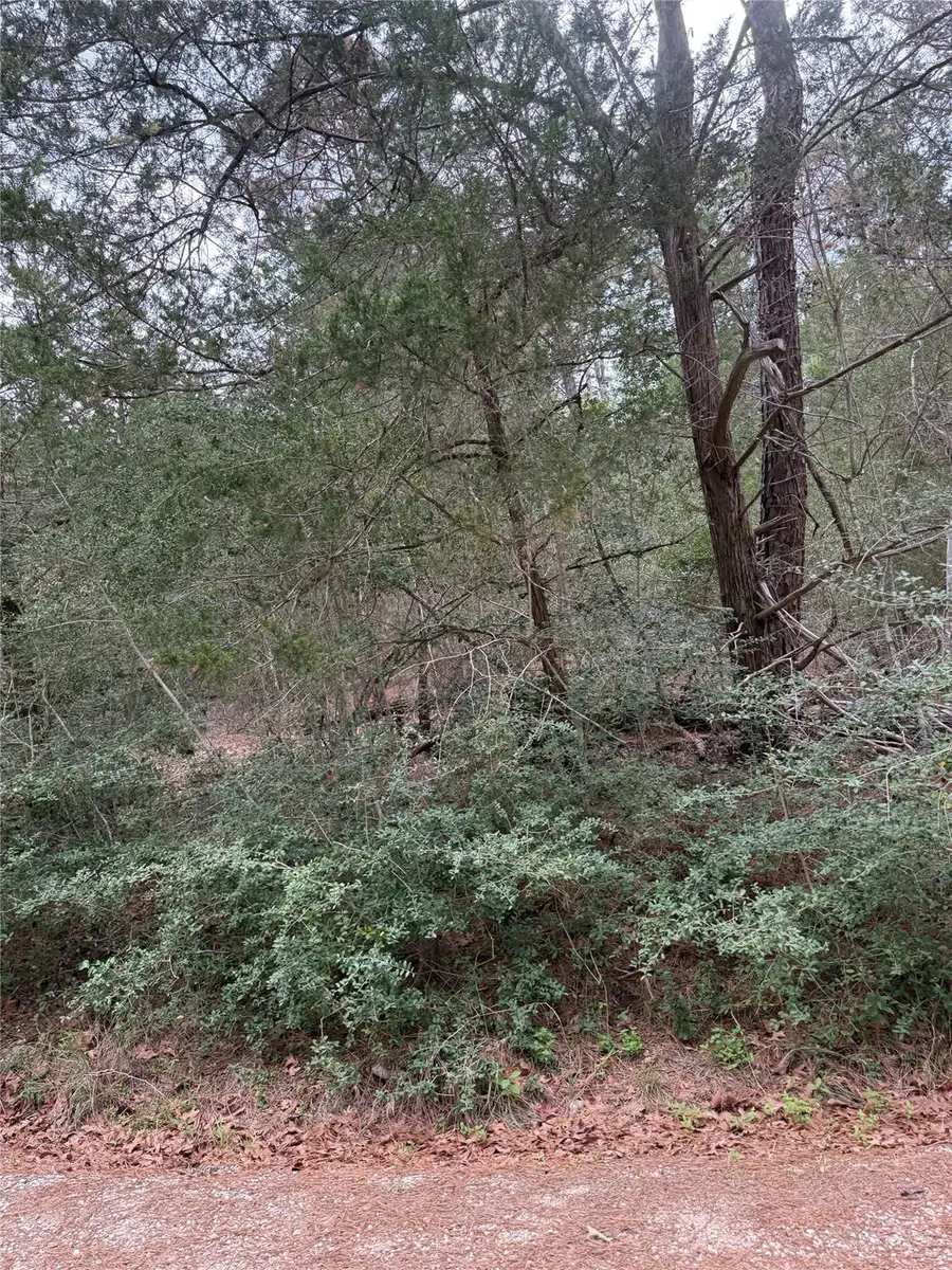 Lot 1428 Keeau Ct, Bastrop, TX 78602 - #3