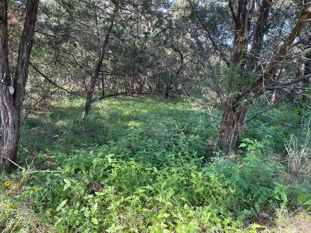 Lot 423 Indian Summer, Spicewood, TX 78669 - #1