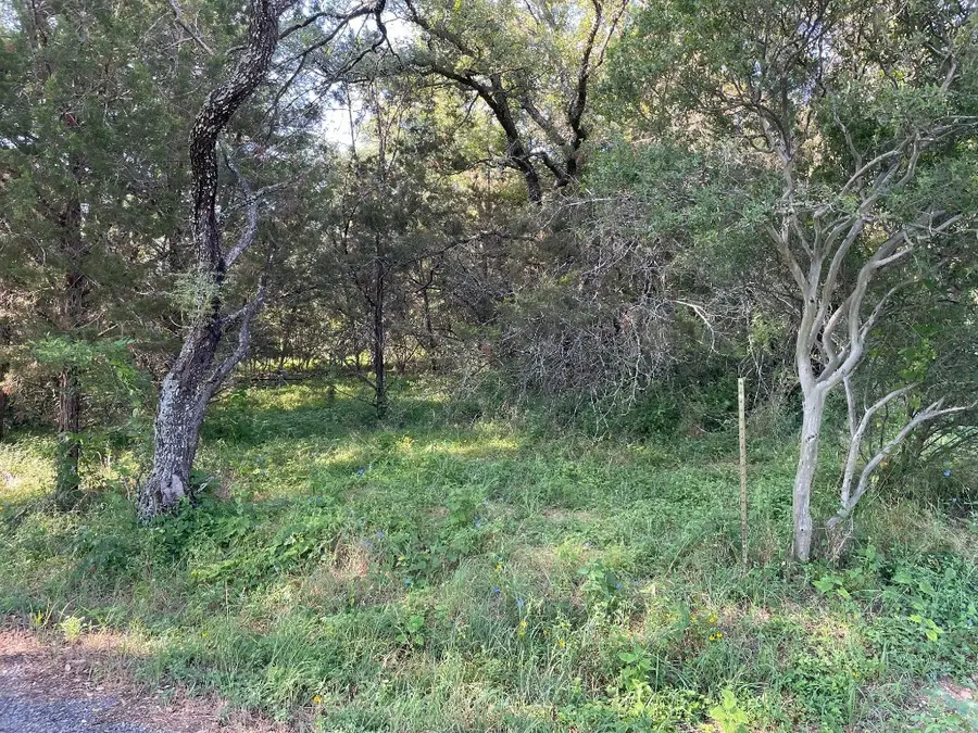 Lot 423 Indian Summer, Spicewood, TX 78669 - #2