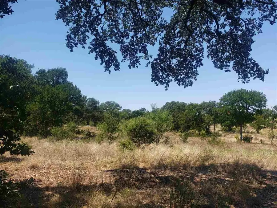 Lot 27 Sierra Bluff Blf, Buchanan Dam, TX 78609 - Image #3