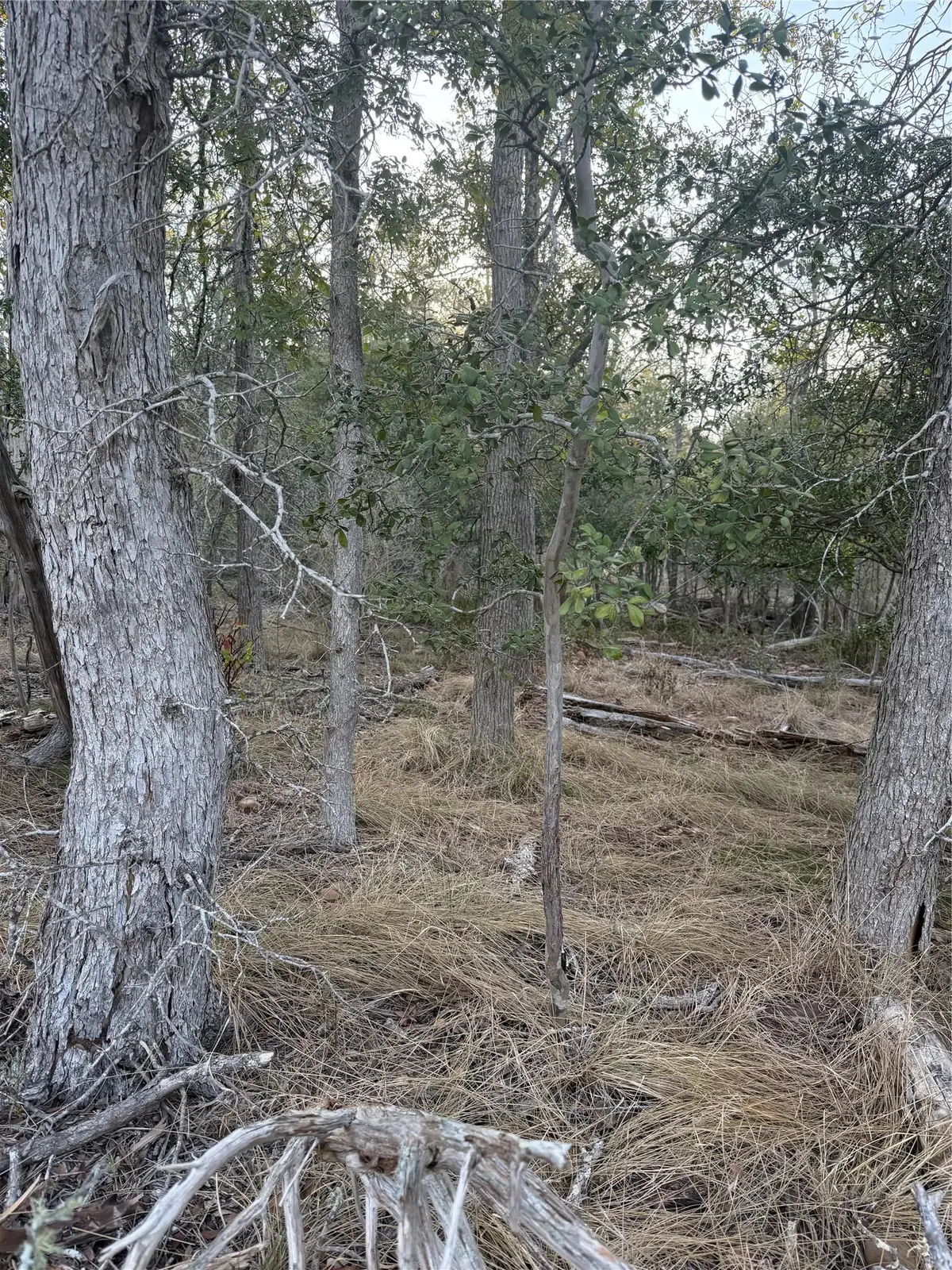 159 Helemano Dr, Bastrop, TX 78602 - #1