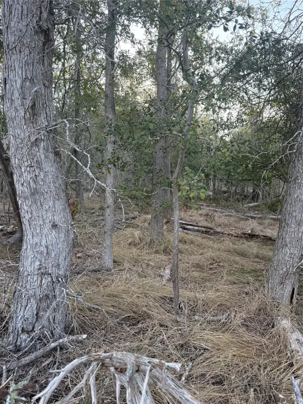 159 Helemano Dr, Bastrop, TX 78602