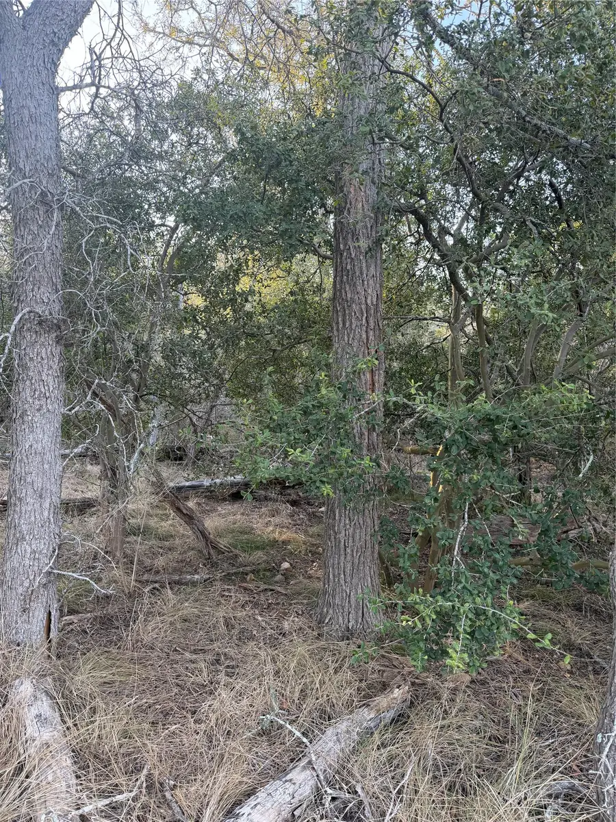 159 Helemano Dr, Bastrop, TX 78602 - #2
