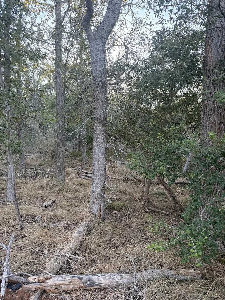 159 Helemano Dr, Bastrop, TX 78602 - #3