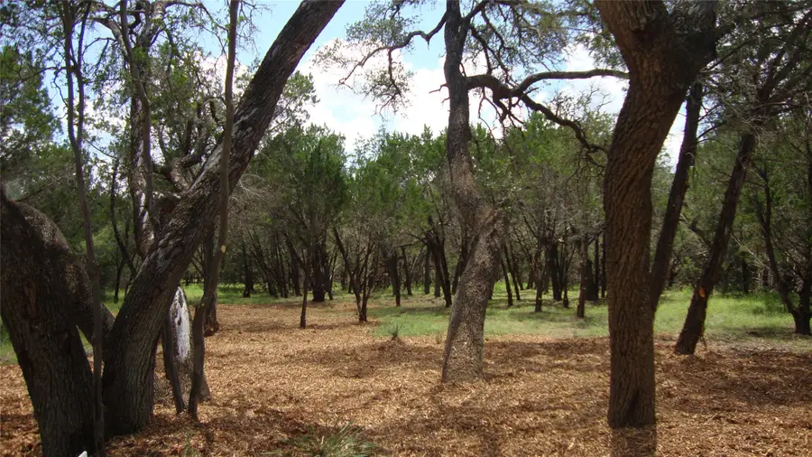 36 Travis Oaks Dr, Marble Falls, TX 78654 - #2