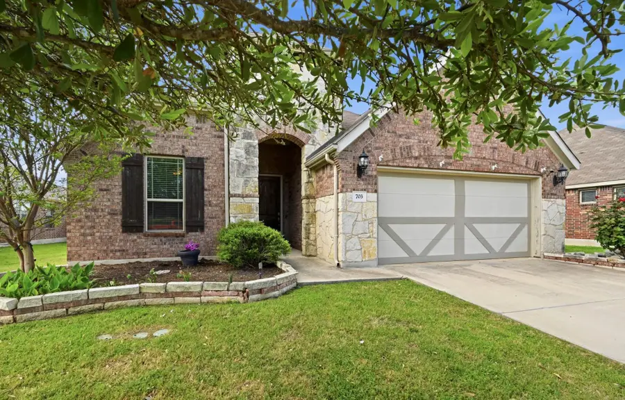 703 N Emory Cv, Hutto, TX 78634 - #3