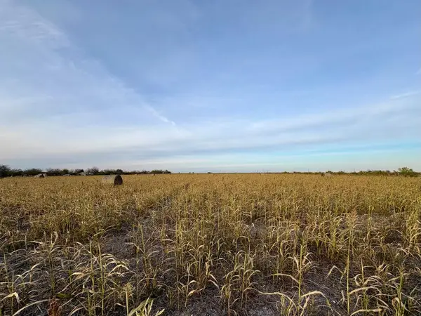 366 County Road 123, Buckholts, TX 76518