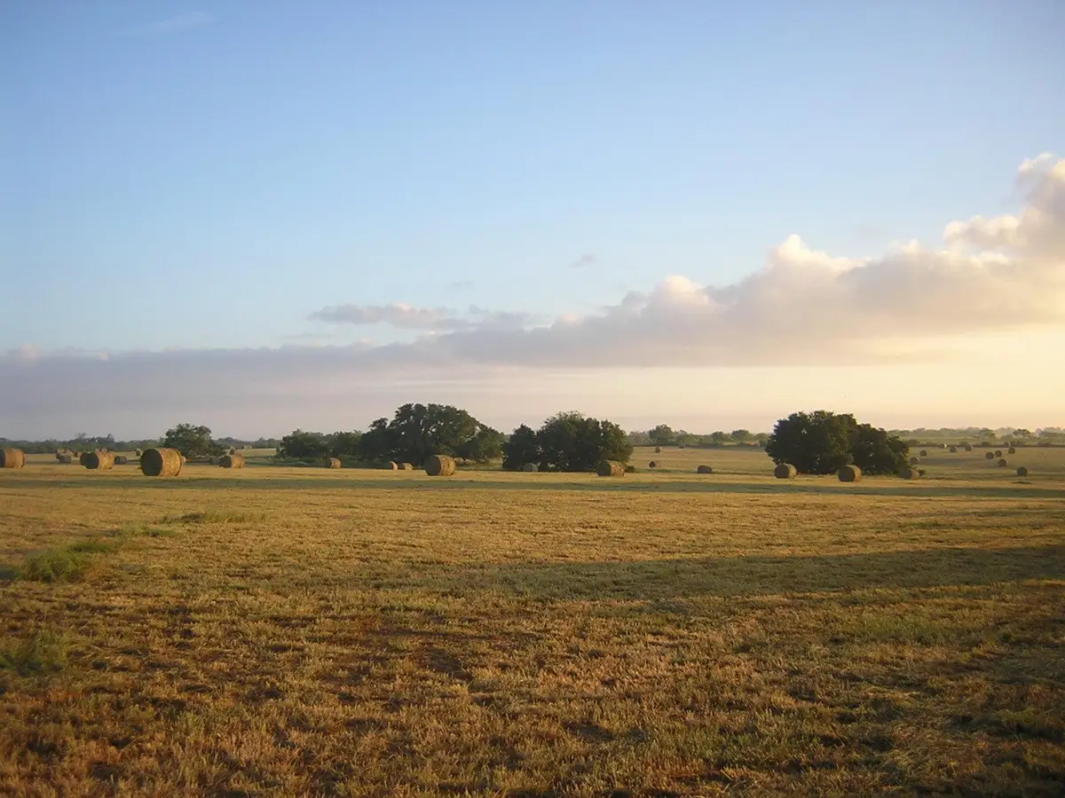 15657 Fm 86, Dale, TX 78616 - Image #1