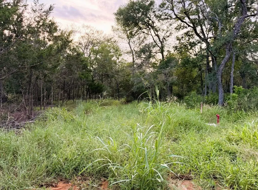 TBD Hilea Ct (lot 626) Hilea Ct, Bastrop, TX 78602 - Image #1