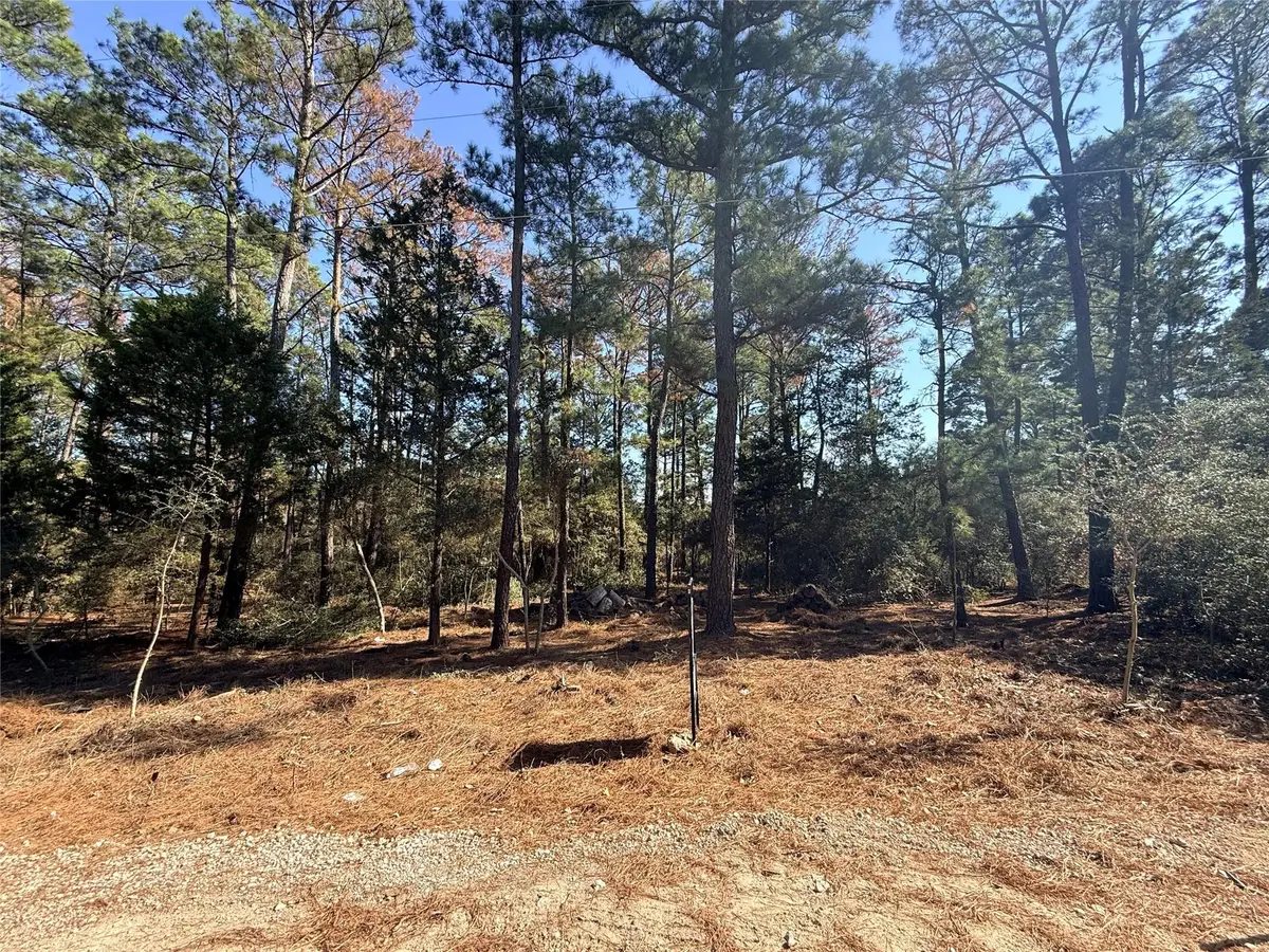 Lot 59 S. Hill Ridge Rd, Bastrop, TX 78602 - Image #1