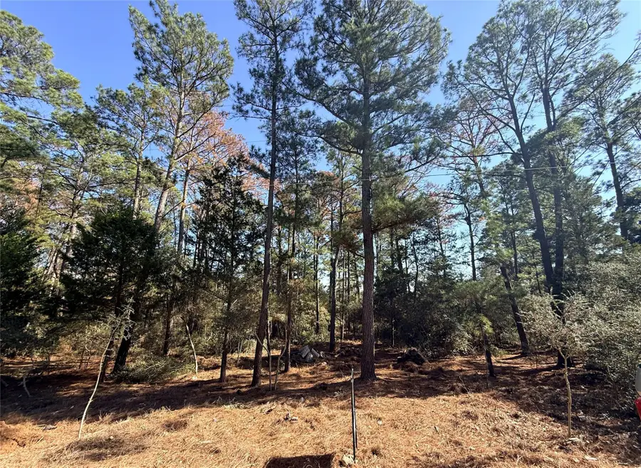 Lot 59 S. Hill Ridge Rd, Bastrop, TX 78602 - Image #2