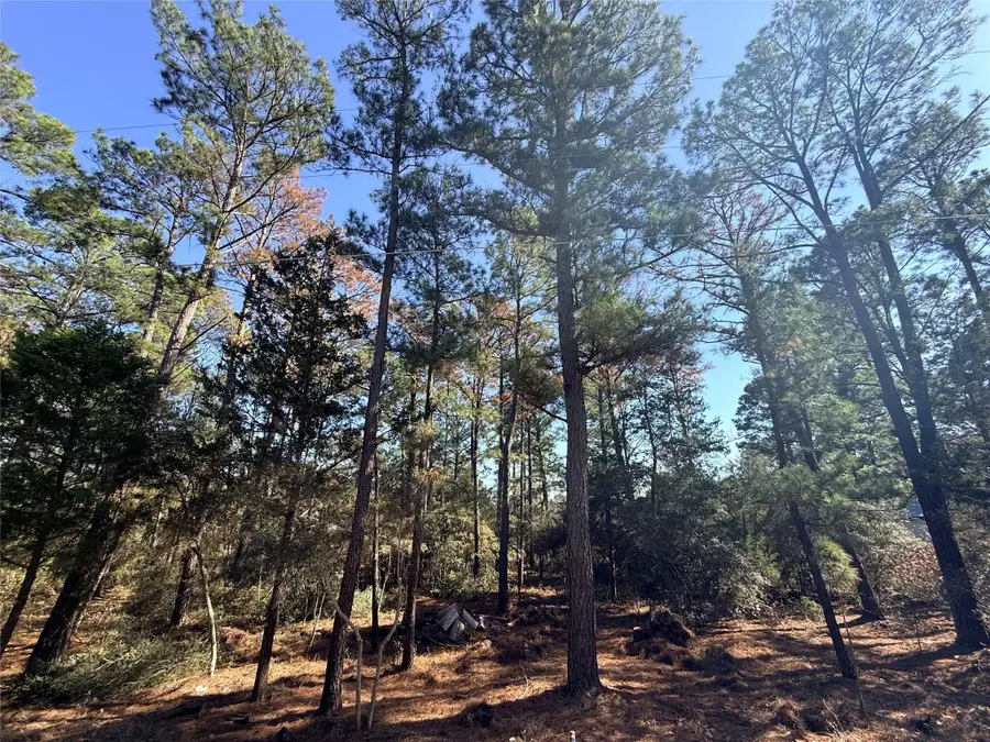 Lot 59 S. Hill Ridge Rd, Bastrop, TX 78602 - Image #3