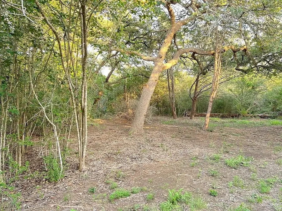 117 Caddo, Smithville, TX 78957 - Image #3