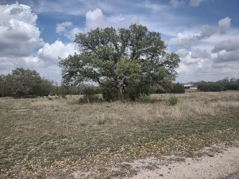 622 Blackbuck Ridge Dr, Lampasas, TX 76550 - #2