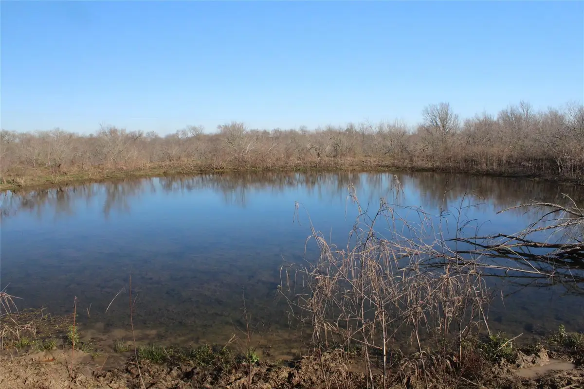 1223 County Road 429, Dime Box, TX 77853 - Image #1