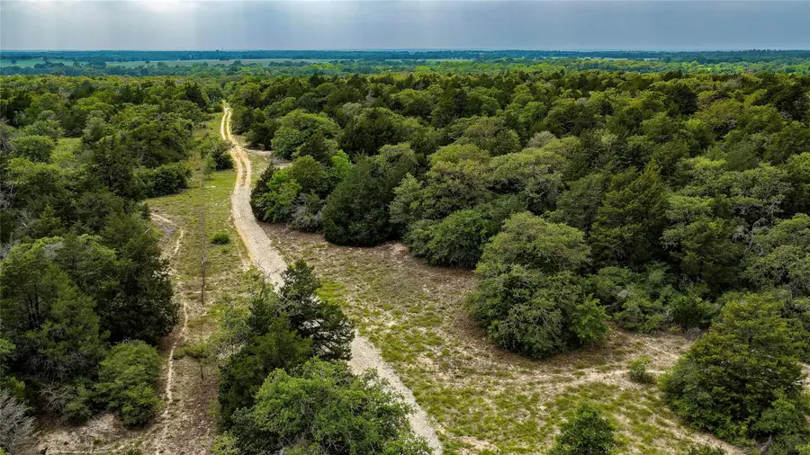 5632 County Road 317, Caldwell, TX 77836 - #3