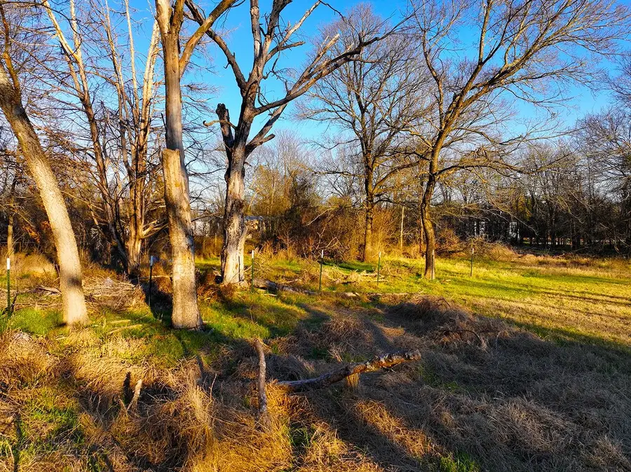 TBD County Road 3114, Purdon, TX 76679 - #3