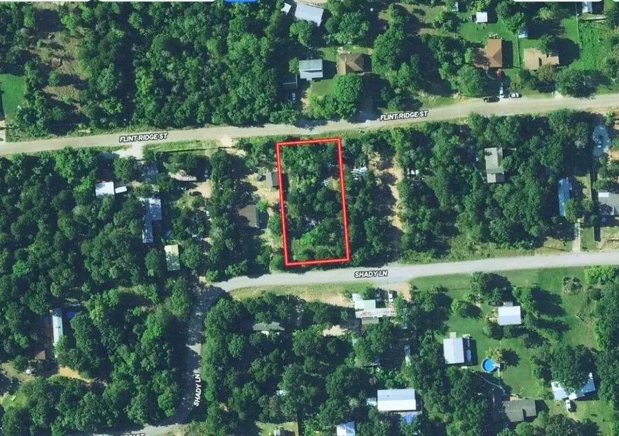 155 Flint Ridge St, Bastrop, TX 78602 - Image #3