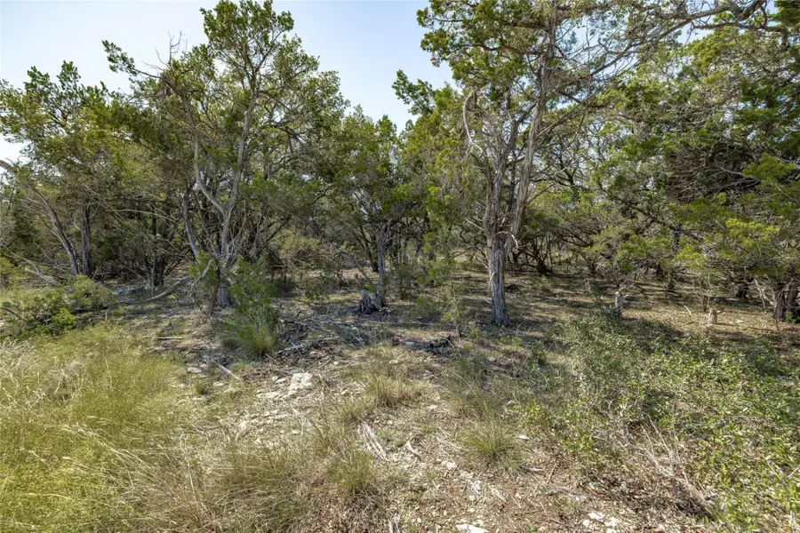 TBD County Road 281 Lot 1, Leander, TX 78641 - #3