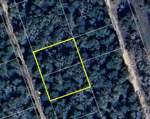 TBD Hickory St, Paige, TX 78659 - Image #1