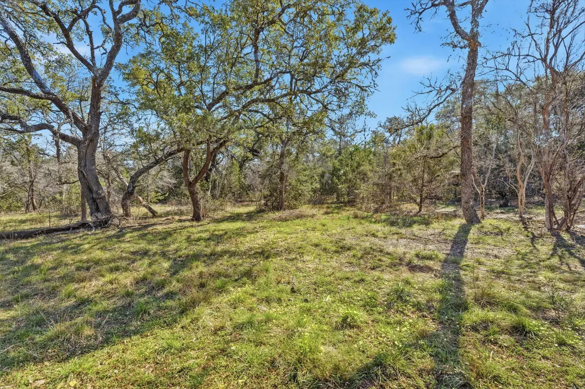 1081 Clark Cv, Buda, TX 78610 - #1