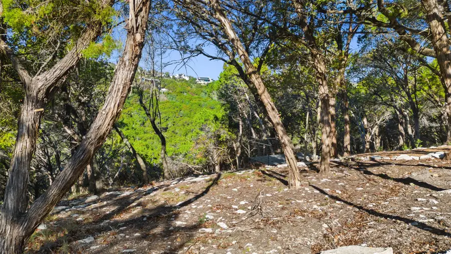 3 Martelli Ln, West Lake Hills, TX 78746 - #3