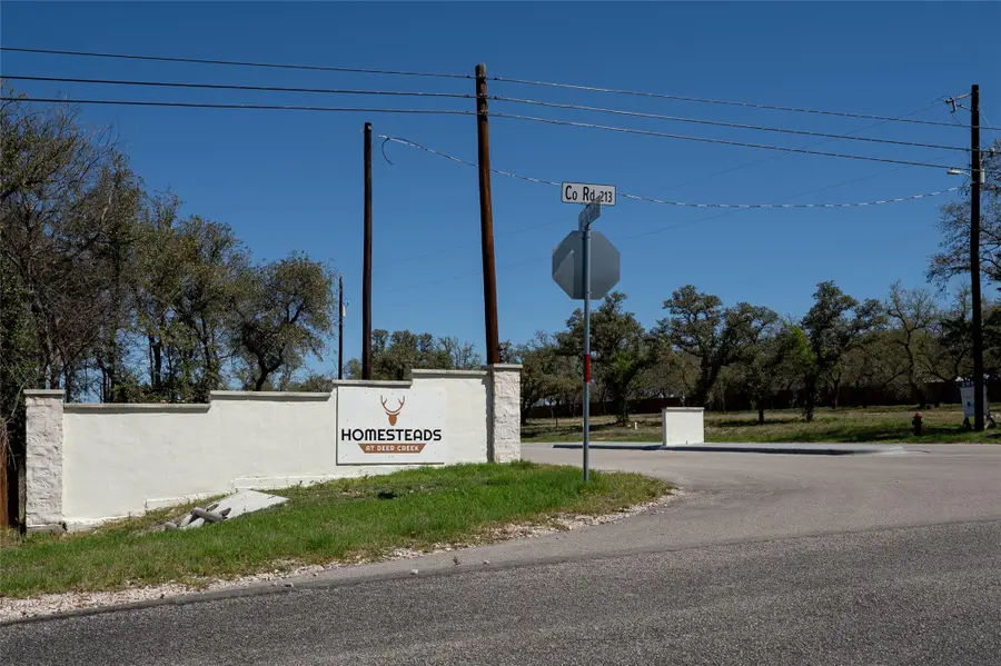 106 Cotton Rose Pl, Johnson City, TX 78636 - #3