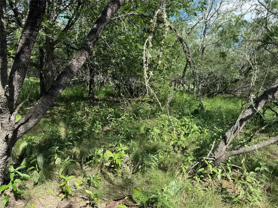 232 Mokulua Ln, Bastrop, TX 78602 - #3