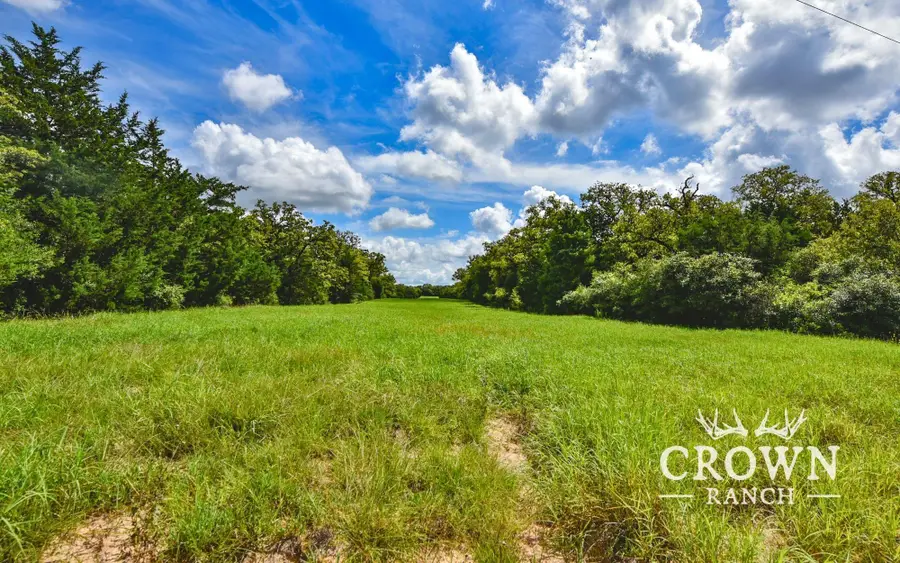TBD Fm 908 (+/-657 Acres), Caldwell, TX 77836 - Image #2