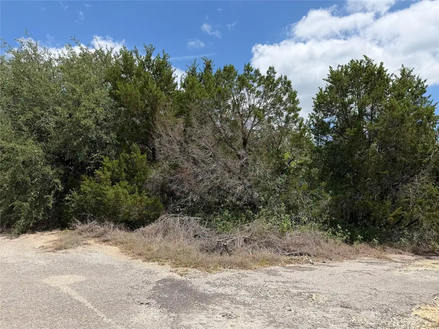 21104 Ringtail Cv, Lago Vista, TX 78645 - #2