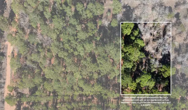 0 Pine Lodge Drive, Bastrop, TX 78602