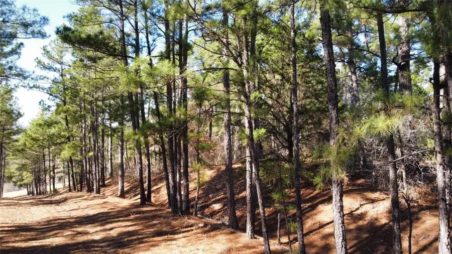 0 Pine Lodge Drive, Bastrop, TX 78602 - Image #3