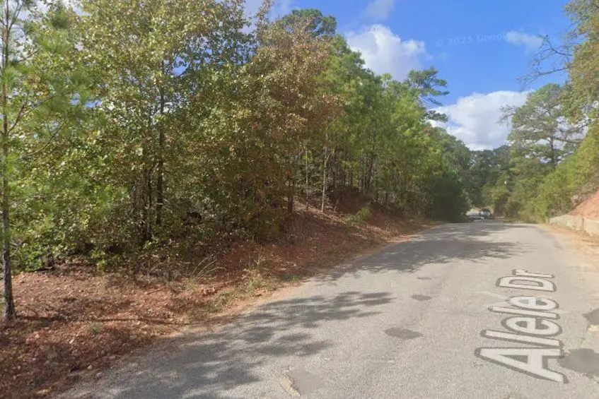 0 Alele Dr, Bastrop, TX 78602 - Image #1