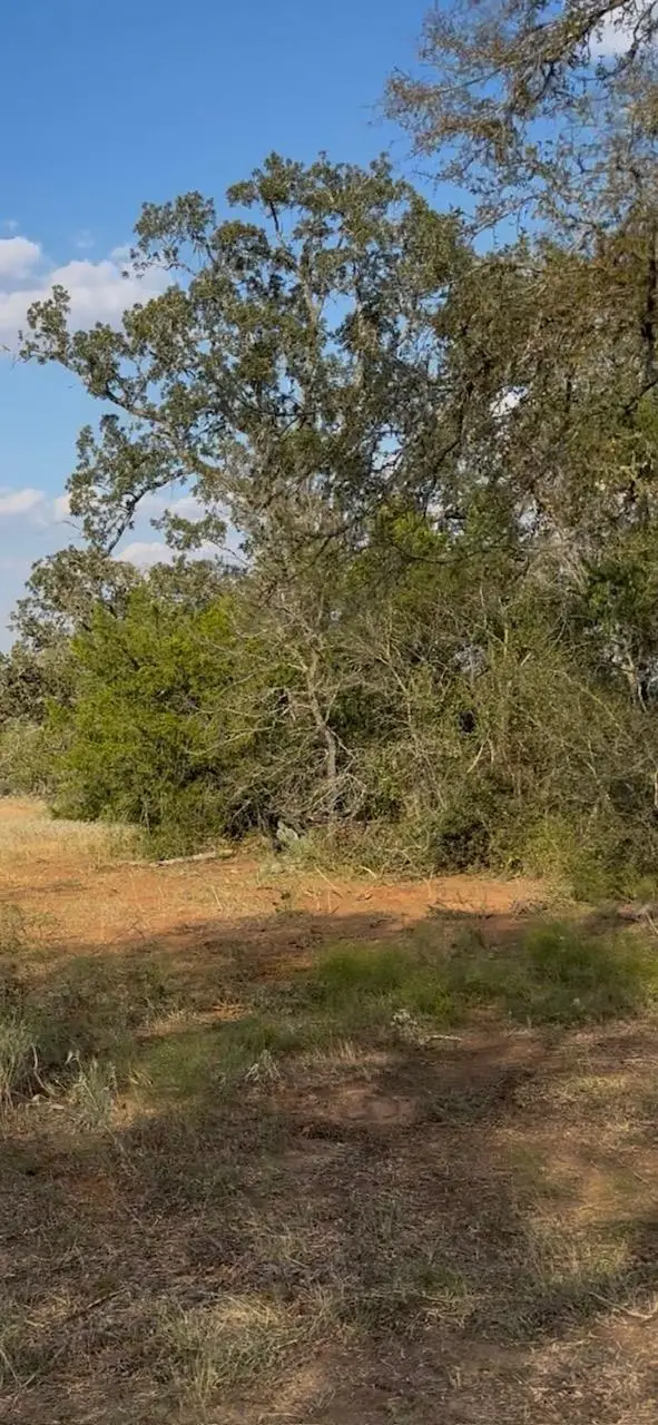 000 Carter Rd, Dale, TX 78616 - Image #2
