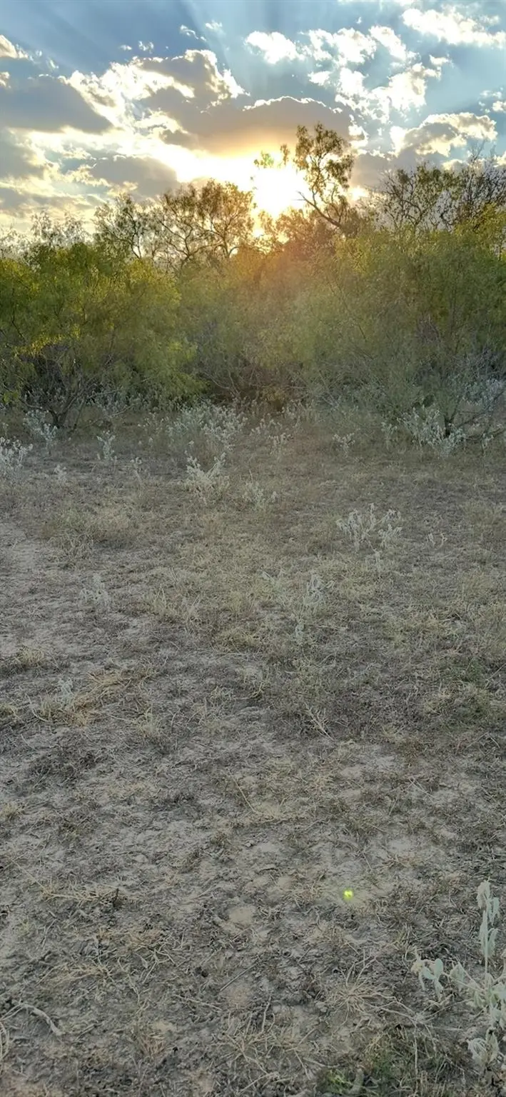 000 Carter Rd, Dale, TX 78616 - Image #3