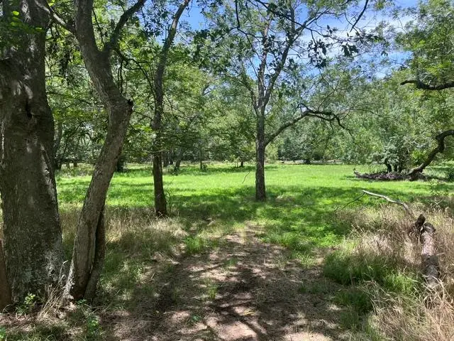 344 & 343 Bateman Rd, Red Rock, TX 78662 - #1